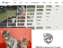 Tablet Screenshot of lostpawsrescueoftexas.org